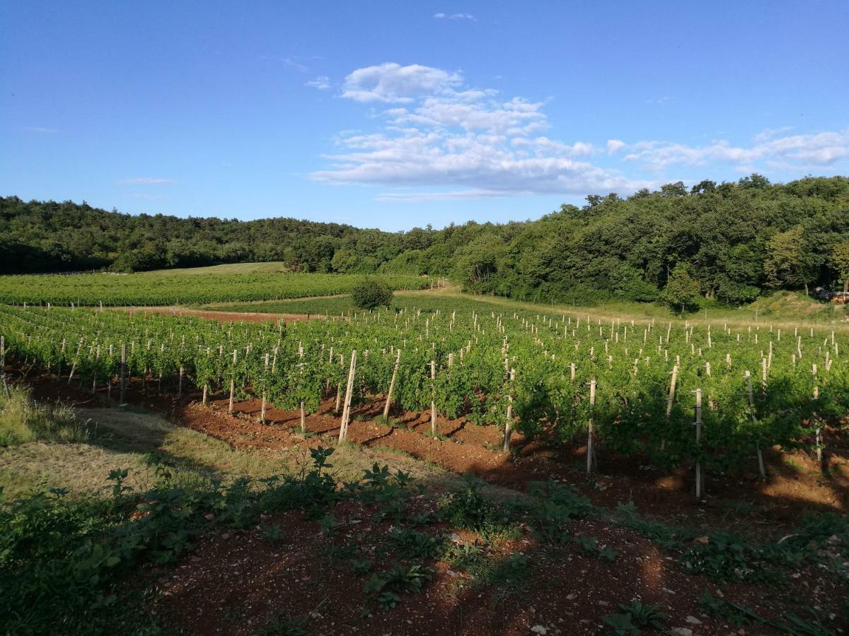 Agriturismo Ostrouska Sgonico Экстерьер фото